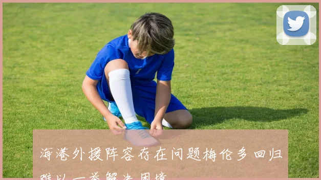 海港外援阵容存在问题梅伦多回归难以一举解决困境